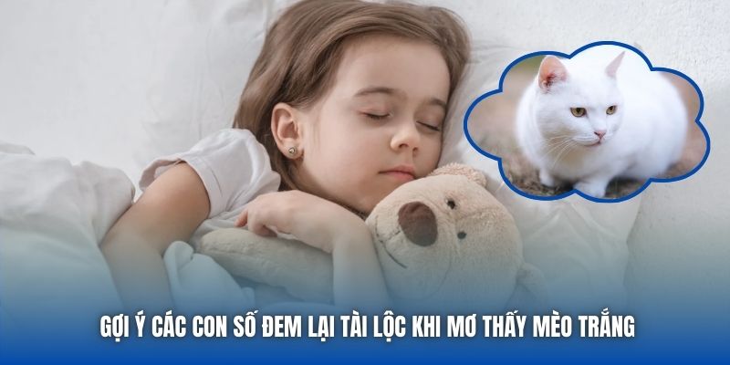 Gợi ý các con số đem lại tài lộc khi mơ thấy mèo trắng