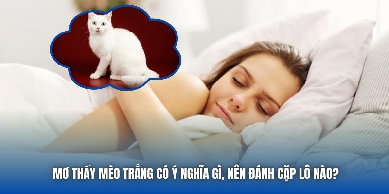 Mơ Thấy Mèo Trắng Có Ý Nghĩa Gì, Nên Đánh Cặp Lô Nào?