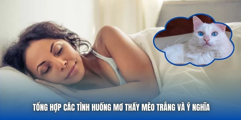 Tổng hợp các tình huống mơ thấy mèo trắng và ý nghĩa