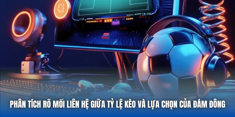 Phân tích rõ mối liên hệ giữa tỷ lệ kèo và lựa chọn của đám đông