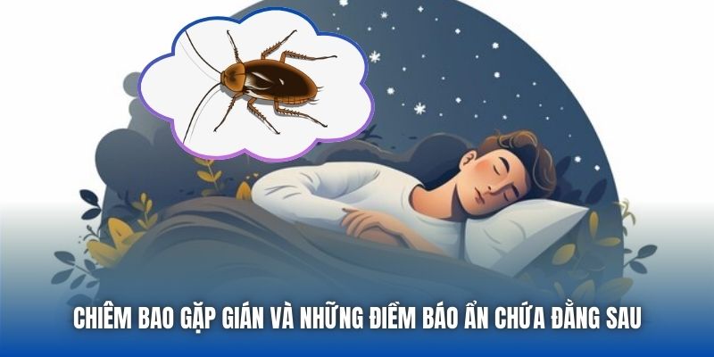 Chiêm bao gặp gián và những điềm báo ẩn chứa đằng sau